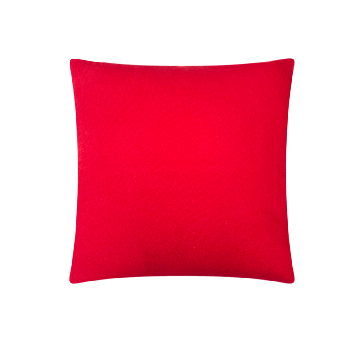 CH21A/ Rustic Red Cushion