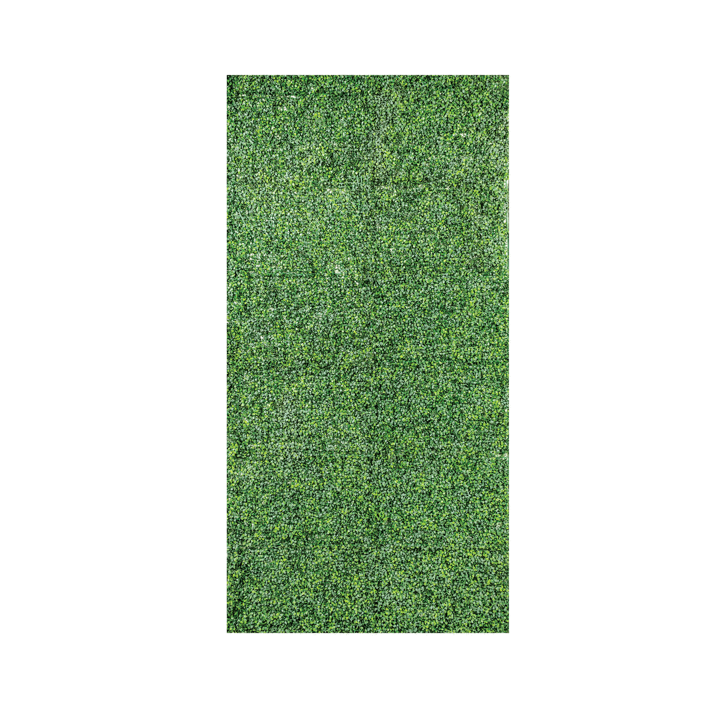 Gardenia Backdrop