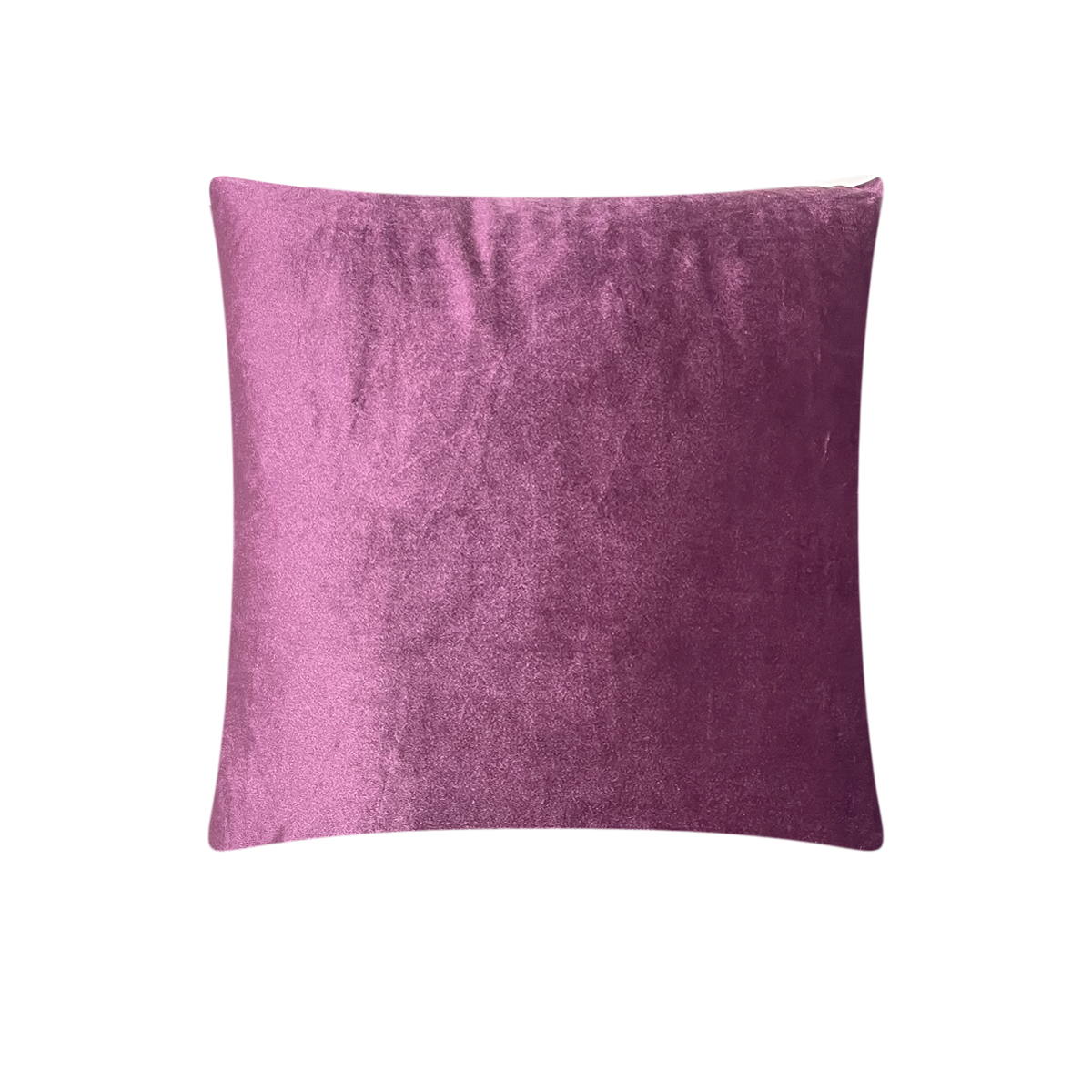 CH22A/ Velvet Plum Cushion