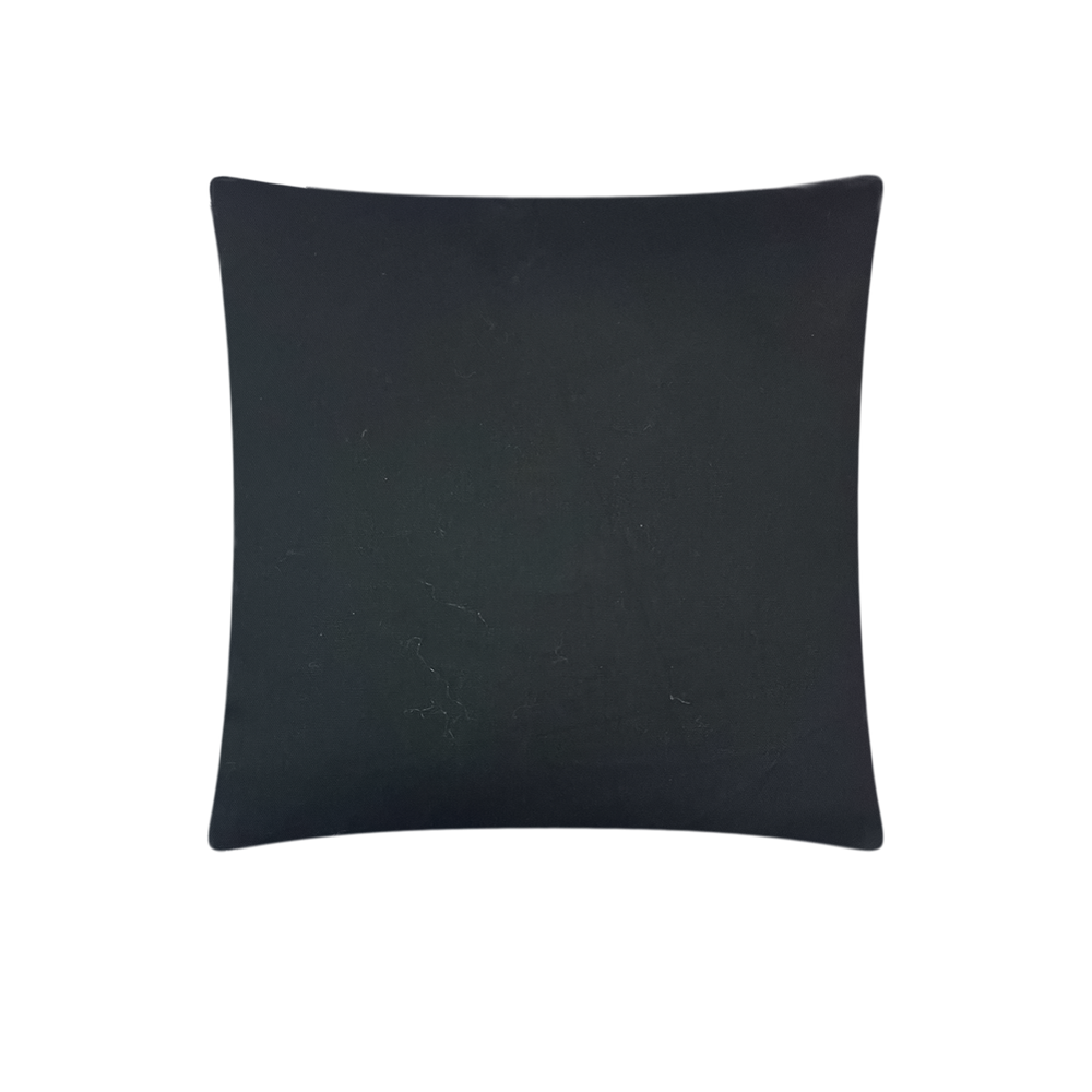 CH17B/ Midnight Velvet Cushion