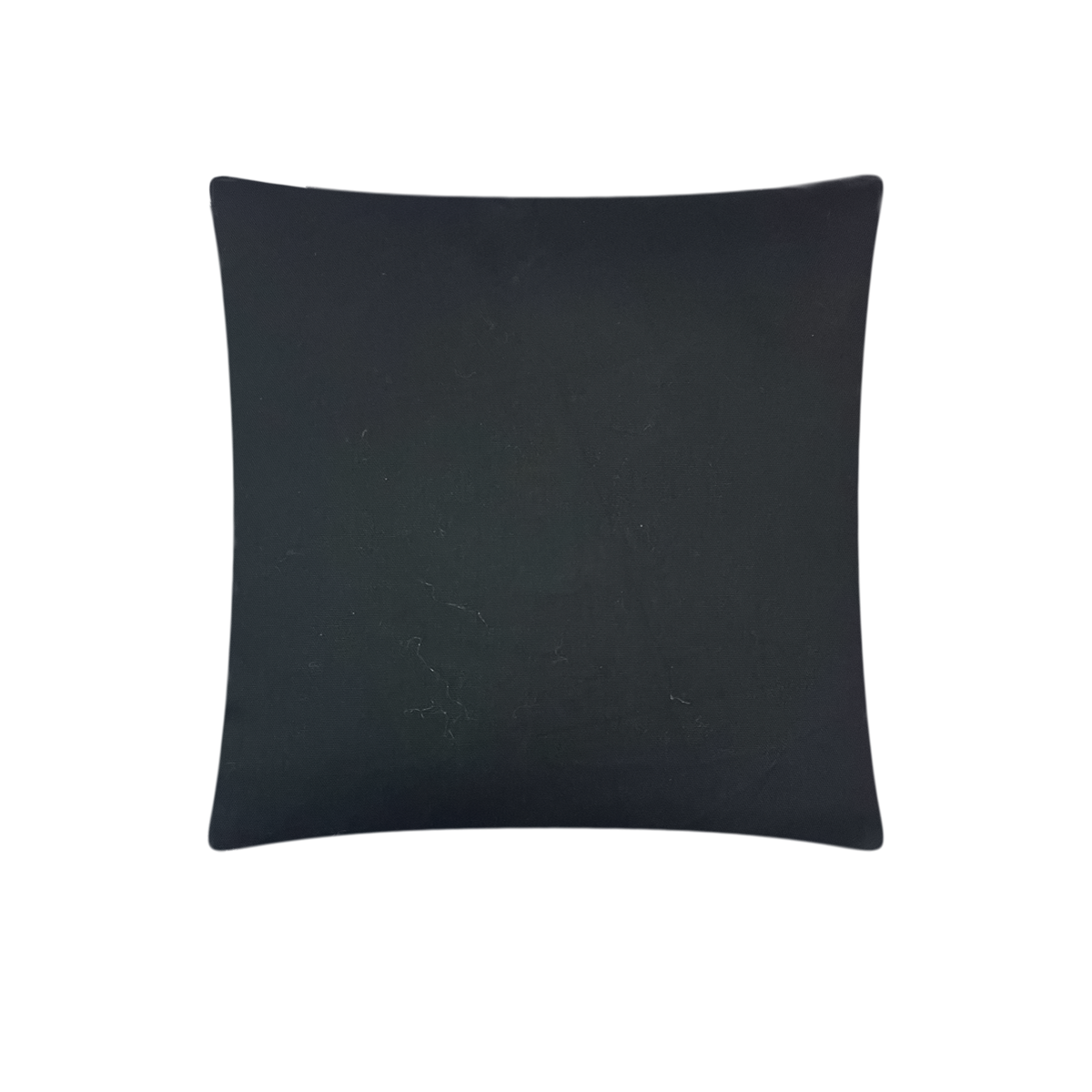 CH17B/ Midnight Velvet Cushion