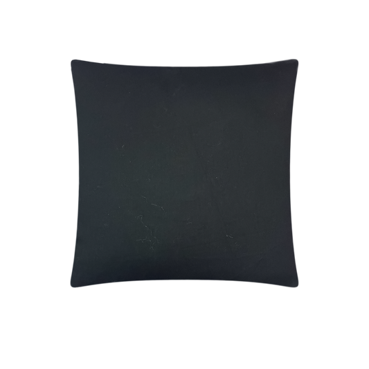 CH17B/ Midnight Velvet Cushion
