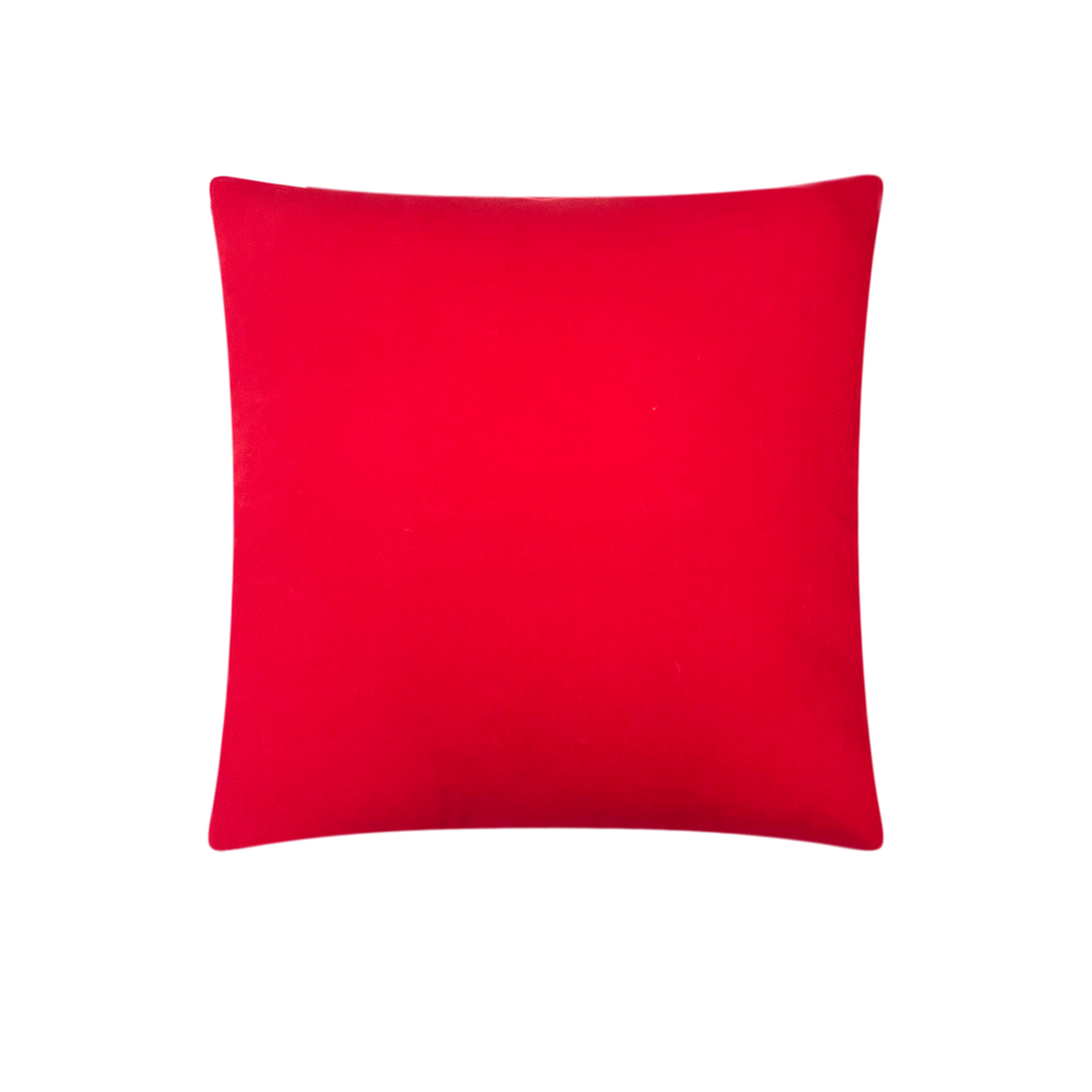 CH21A/ Rustic Red Cushion