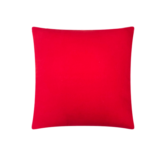 CH21A/ Rustic Red Cushion