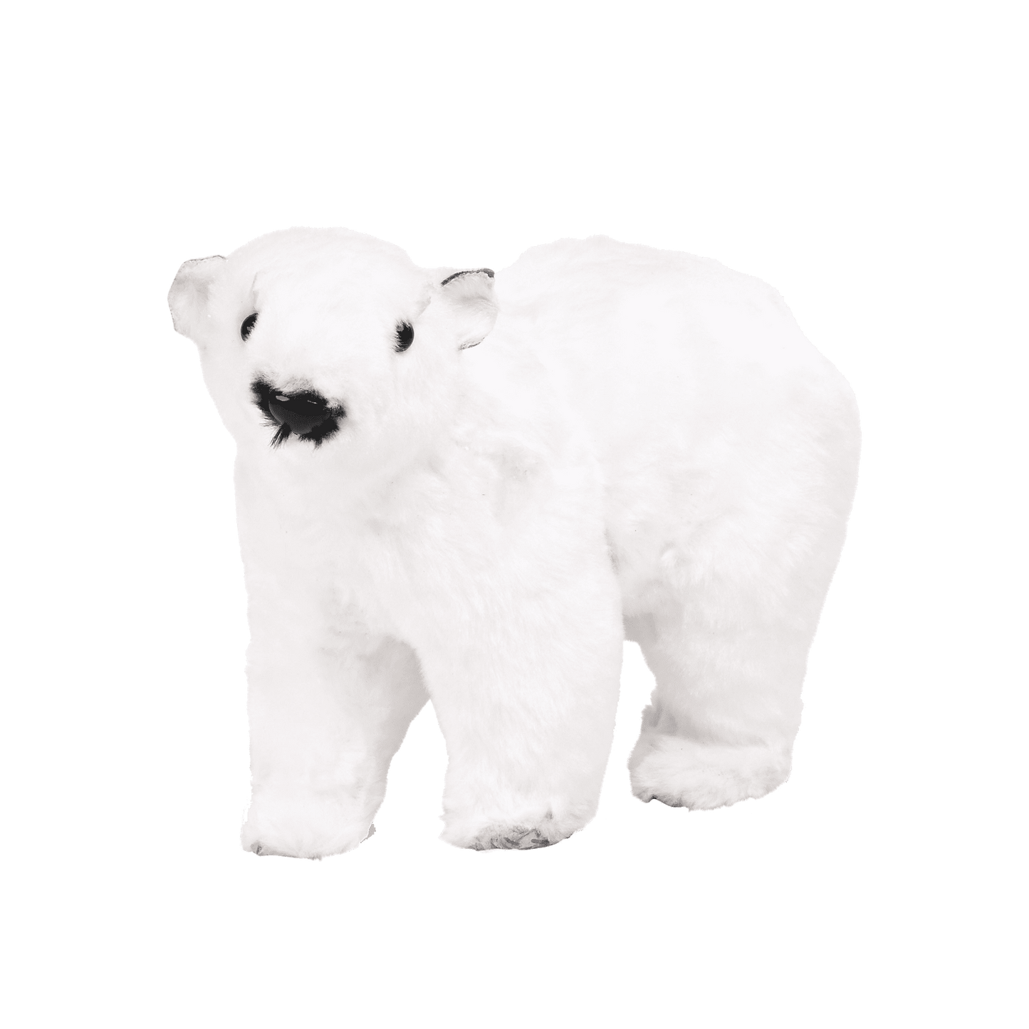 Polar Bear 1 Accent