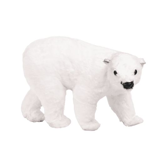 Polar Bear 2 Accent