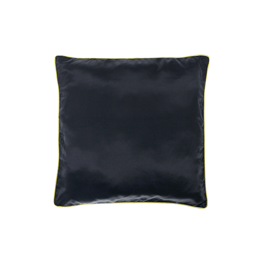 CH17A/ Velvet Cushion